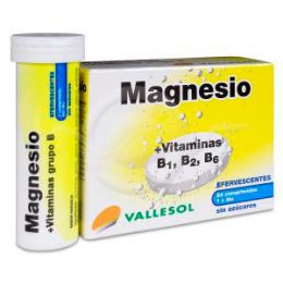 VALLESOL MAGNESIO +VITAMINA B 24 COMP EFERV